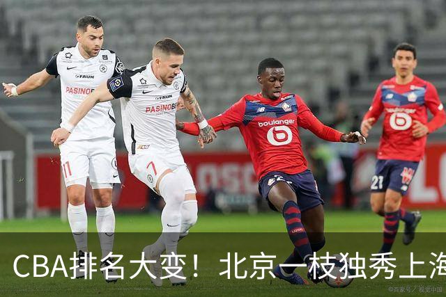 CBA排名大变！北京一枝独秀上海第3，辽宁第4广东第15，新疆连败宁波一胜难求